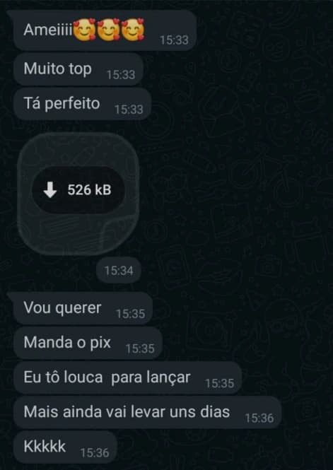 Print de WhatsApp com feedback positivo de cliente sobre o atendimento